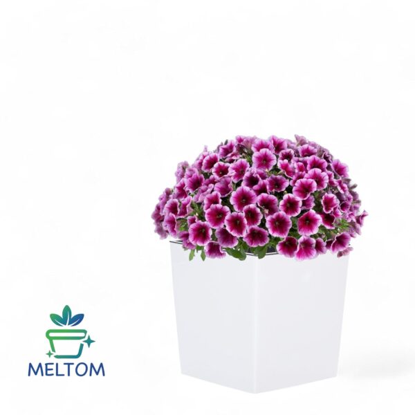Blumentopf mit Bewässerungssystem Hochglanz Weiß XXL