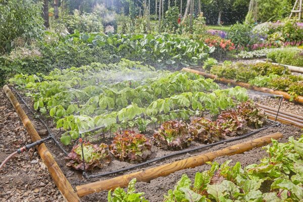 Gardena Micro-Drip-System Beetbewässerung 60 m² Wassersparend