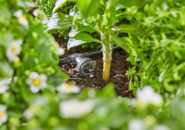 Gardena Micro-Drip-System Starter-Set: Bewässerung für 35 Pflanzen, wassersparend
