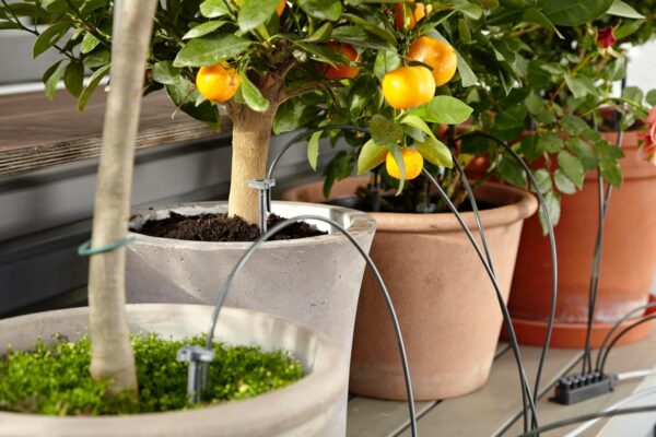 Gardena Urlaubs-Bewässerungsset Indoor/Outdoor bis 36 Pflanzen